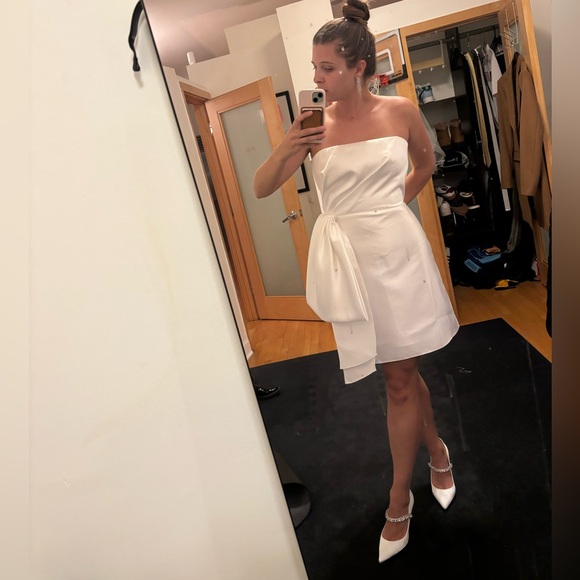 Sachin + Babi Verdance Dress size 6 - Picture 5 of 7